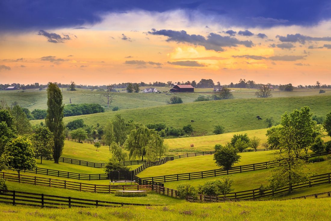 Kentucky-country-evening-bluegrass