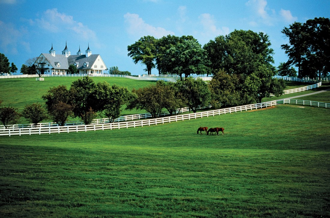 Louisville-Lexington-KY-Horse Park